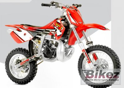 2008 Factory Bike Phantom R14 Agua photo